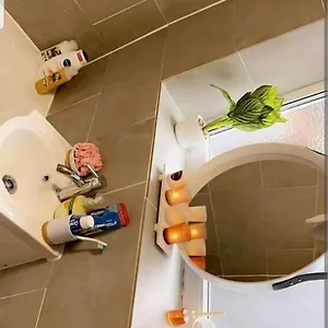  Apartment Cheerful 2 Bedroom House